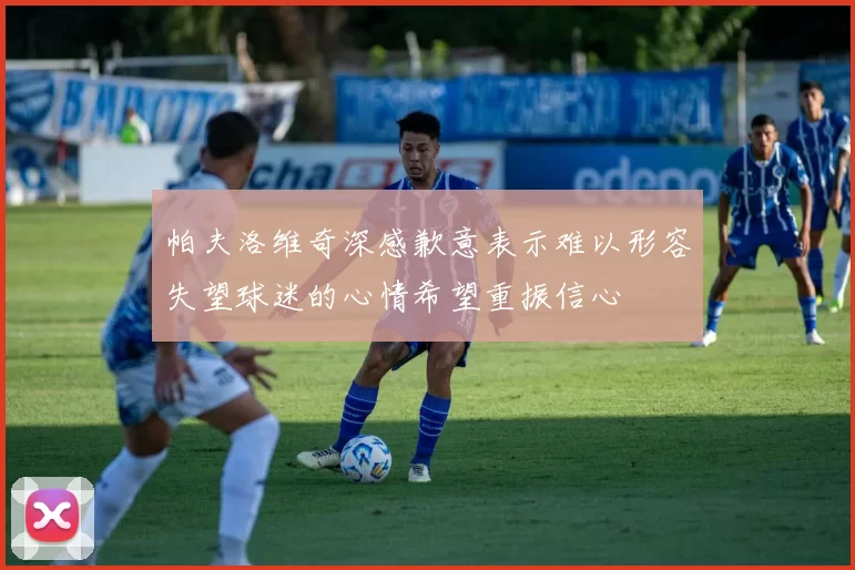 帕夫洛维奇深感歉意表示难以形容失望球迷的心情希望重振信心